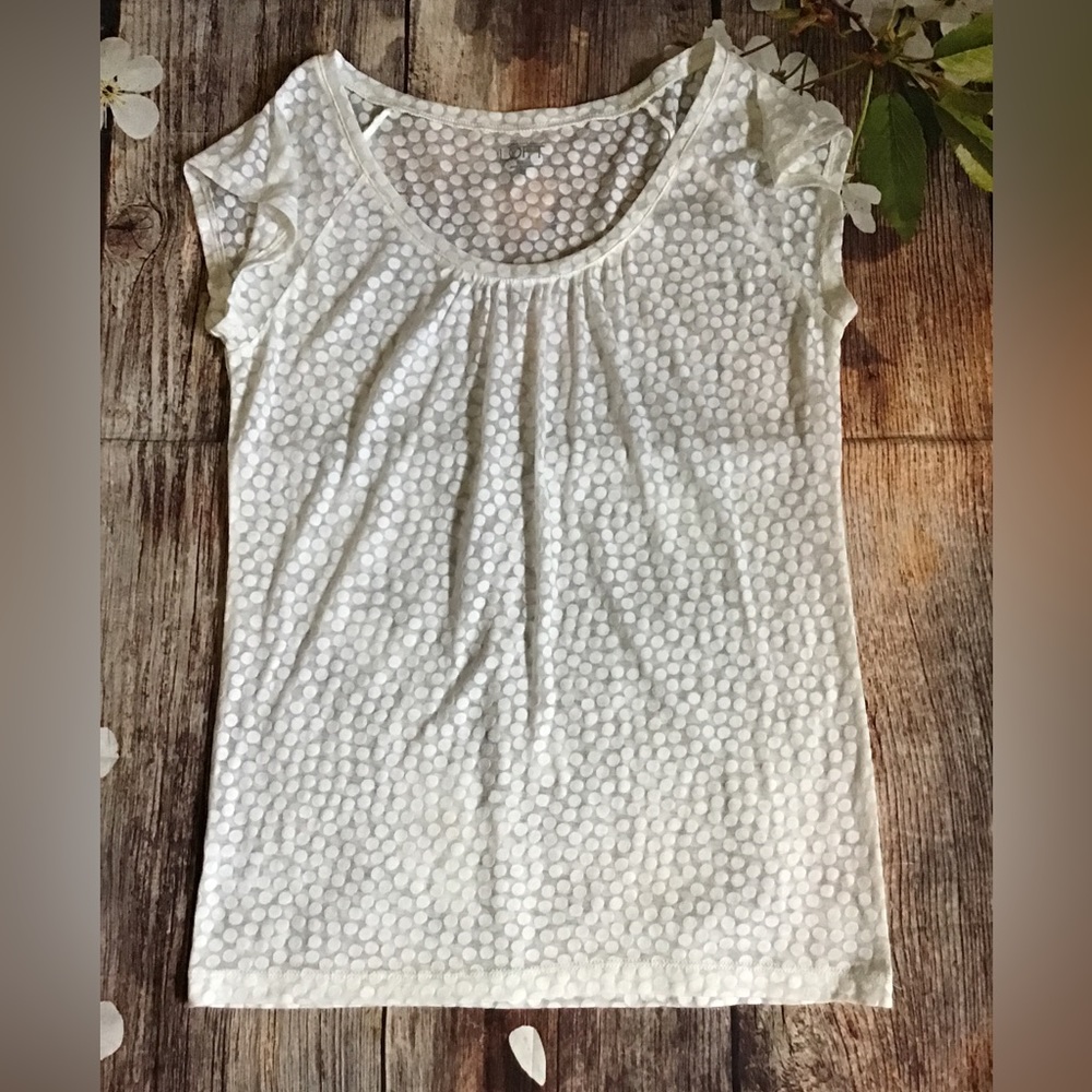 Women’s size small short sleeve Ann Taylor loft top CC